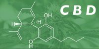 Cbd Kak Profilaktika