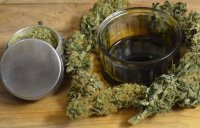КБД масло и масло Рика Симпсона потрясли мир медицины! Cbd Oil Rick Simpson Oil Rso