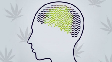 Конопля в лечении эпилепсии – наконец-то эффективный препарат? Konoplia V Lechenii Epilepsii