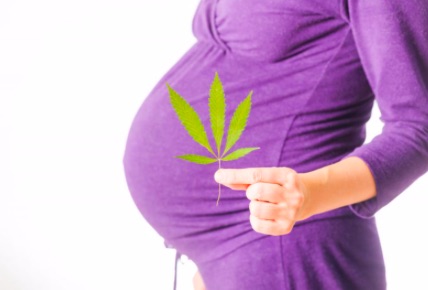 Марихуана и беременность как выращивать марихуану в почве