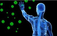 Укрепление иммунитета - несколько гарантированных советов с коноплей Ukreplenie Immuniteta Neskolko Garantirovannych Sovetov S Konoplioi