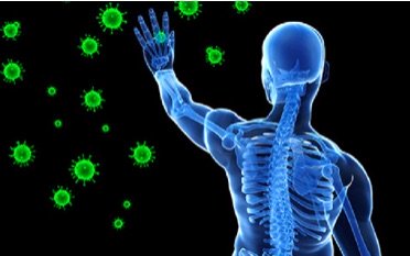 Укрепление иммунитета - несколько гарантированных советов с коноплей Ukreplenie Immuniteta Neskolko Garantirovannych Sovetov S Konoplioi