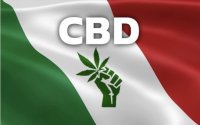 Italija Prinjala Popravku K Zakonu I Legalizovala Kbd